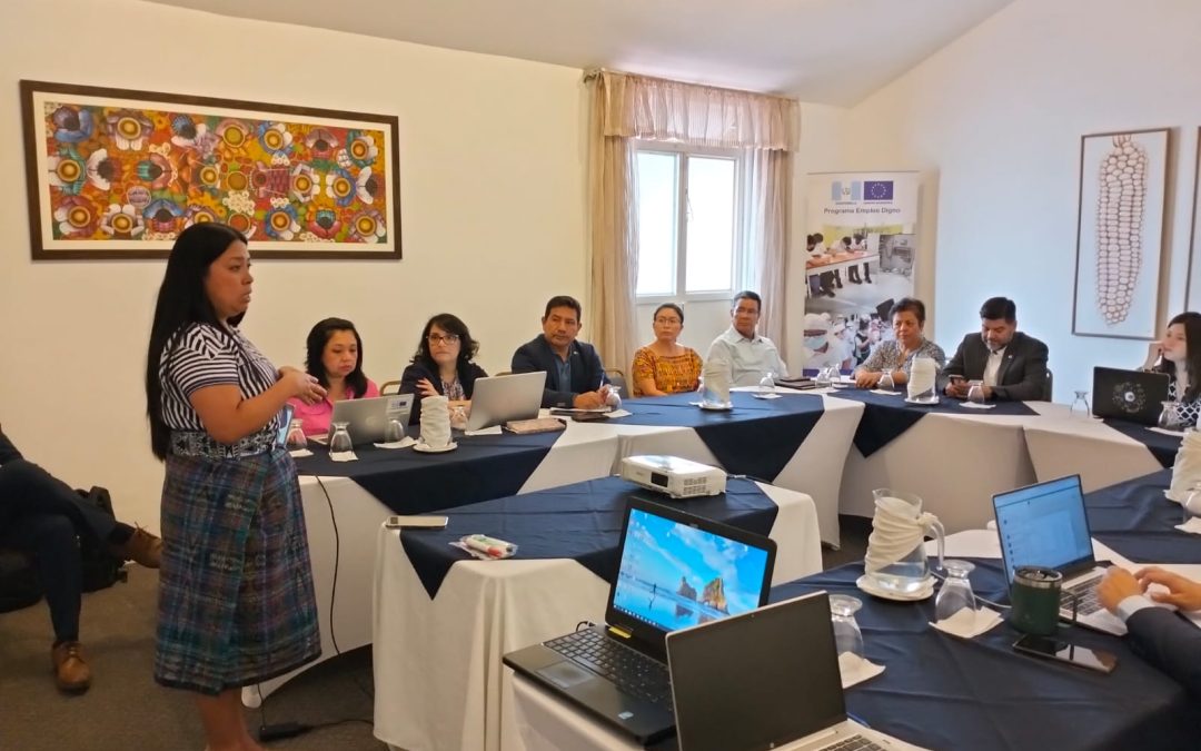 Taller para la validación del diagnóstico con los equipos técnicos del Ministerio de Trabajo y Previsión Social y SEGEPLAN